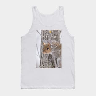 Squirrel in a tree Tank Top